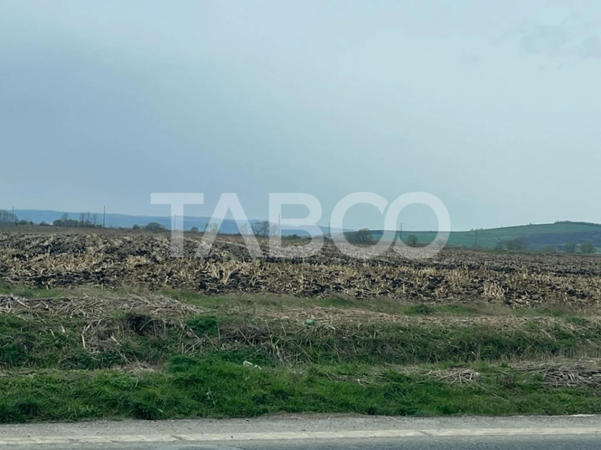 Teren intravilan de vanzare zona industriala nord 19100 mp front 51 m - 2