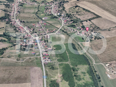 Teren extravilan 2216 mp cu front 12 m acces auto Rusciori Sura Mica