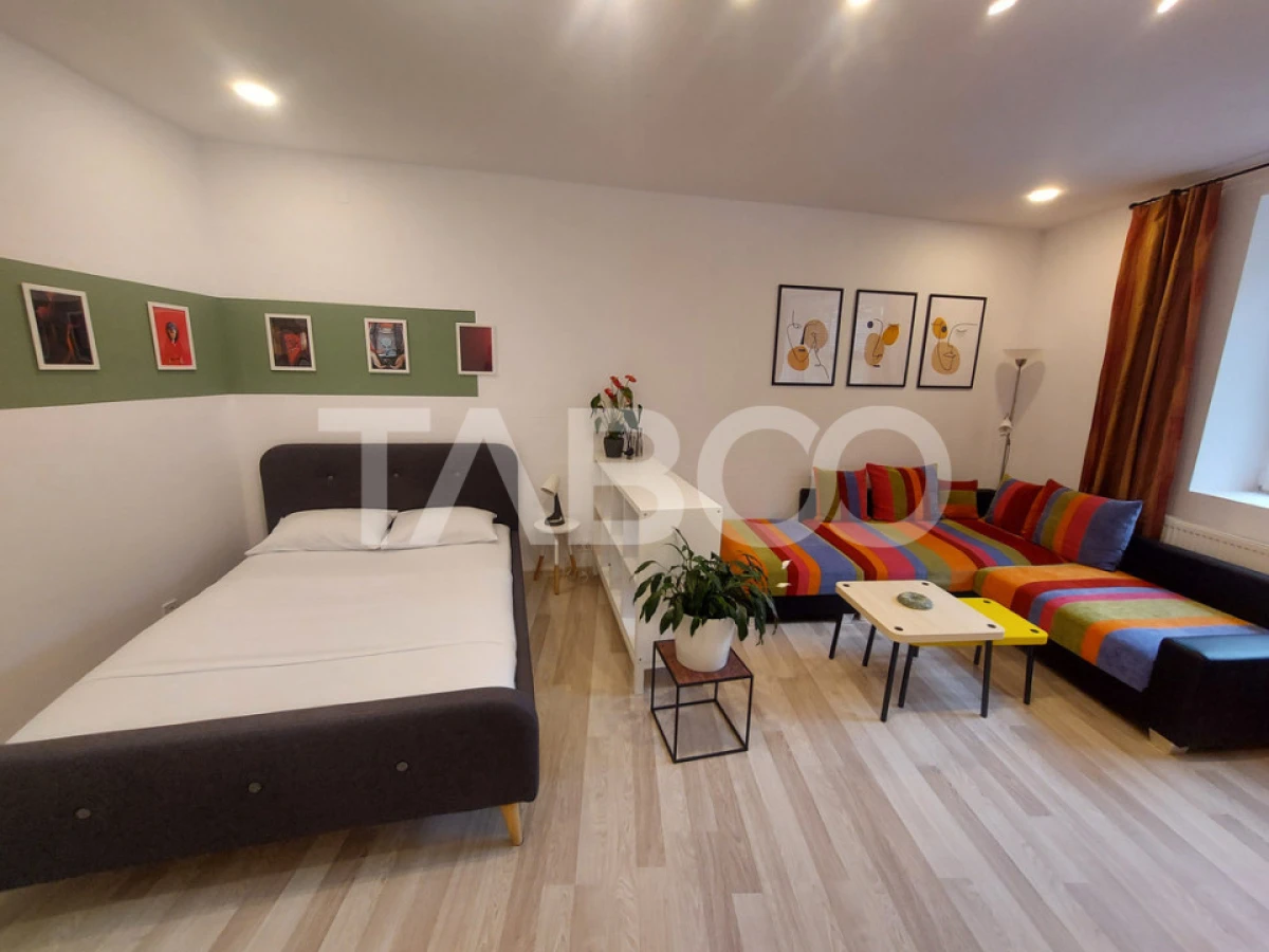 Garsoniera de vanzare 43 mpu pivnita zona Orasul de Jos Sibiu - 3