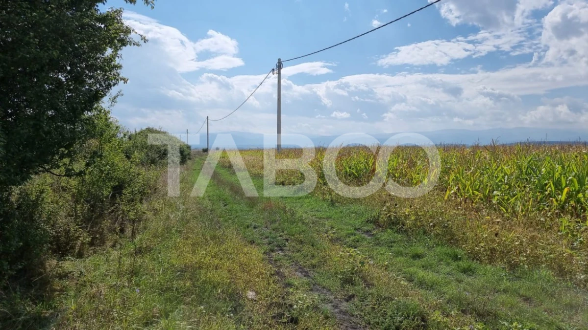 Comision 0% Oportunitate investitie 28000 mp in Sura Mica Sibiu - 6