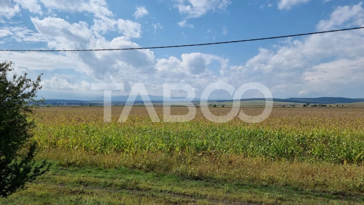 Comision 0% Oportunitate investitie 28000 mp in Sura Mica Sibiu - 4