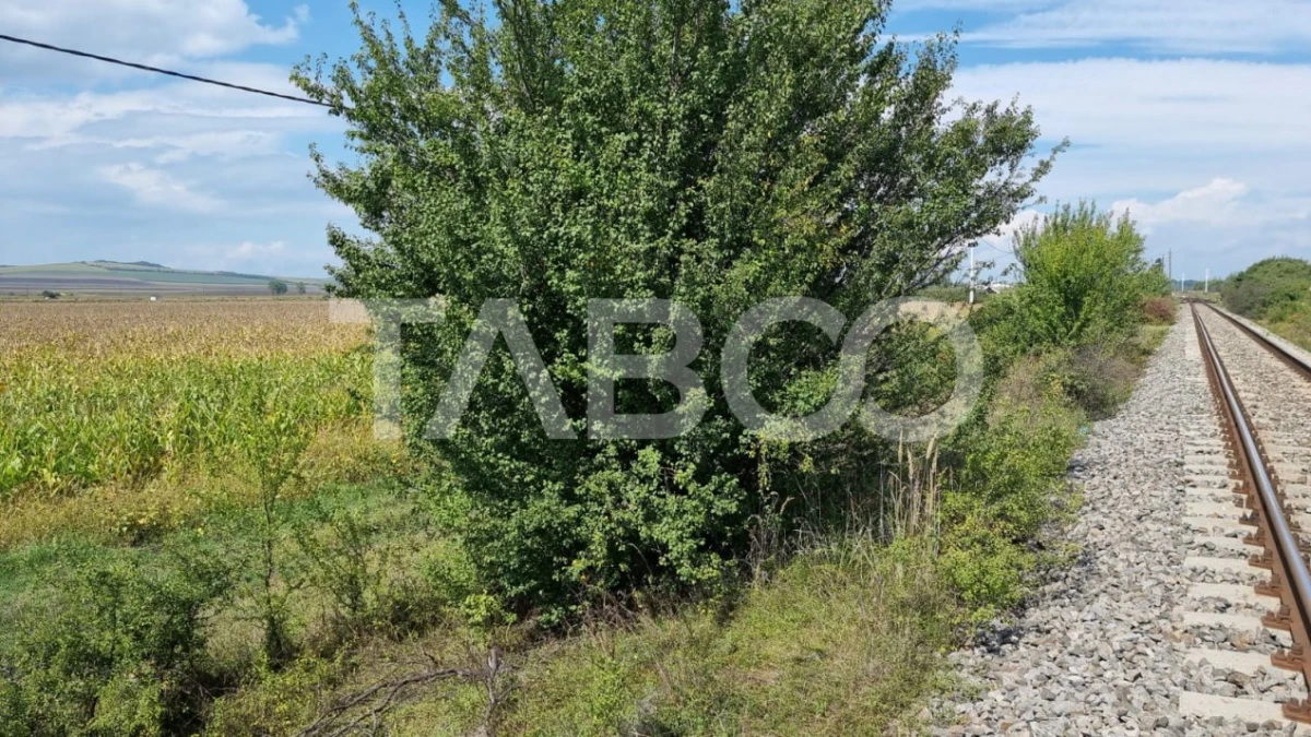 Comision 0% Oportunitate investitie 28000 mp in Sura Mica Sibiu - 3