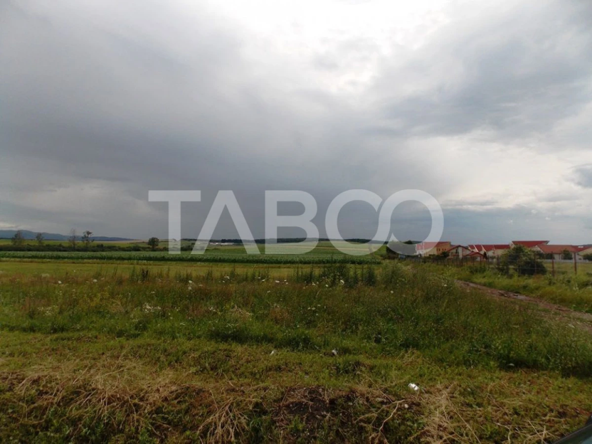 Teren de vanzare 10000 mp CF 107274 deschidere de 42 m in Sura Mica - 8