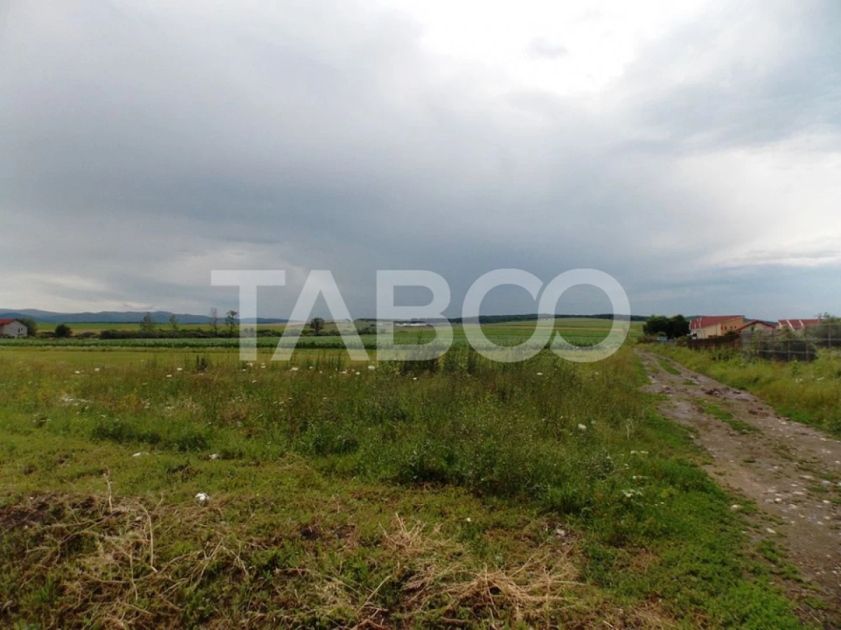 Teren de vanzare 10000 mp CF 107274 deschidere de 42 m in Sura Mica - 5