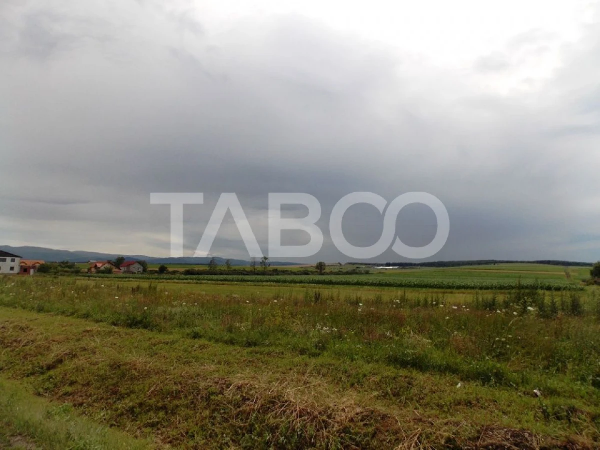 Teren de vanzare 10000 mp CF 107274 deschidere de 42 m in Sura Mica - 3