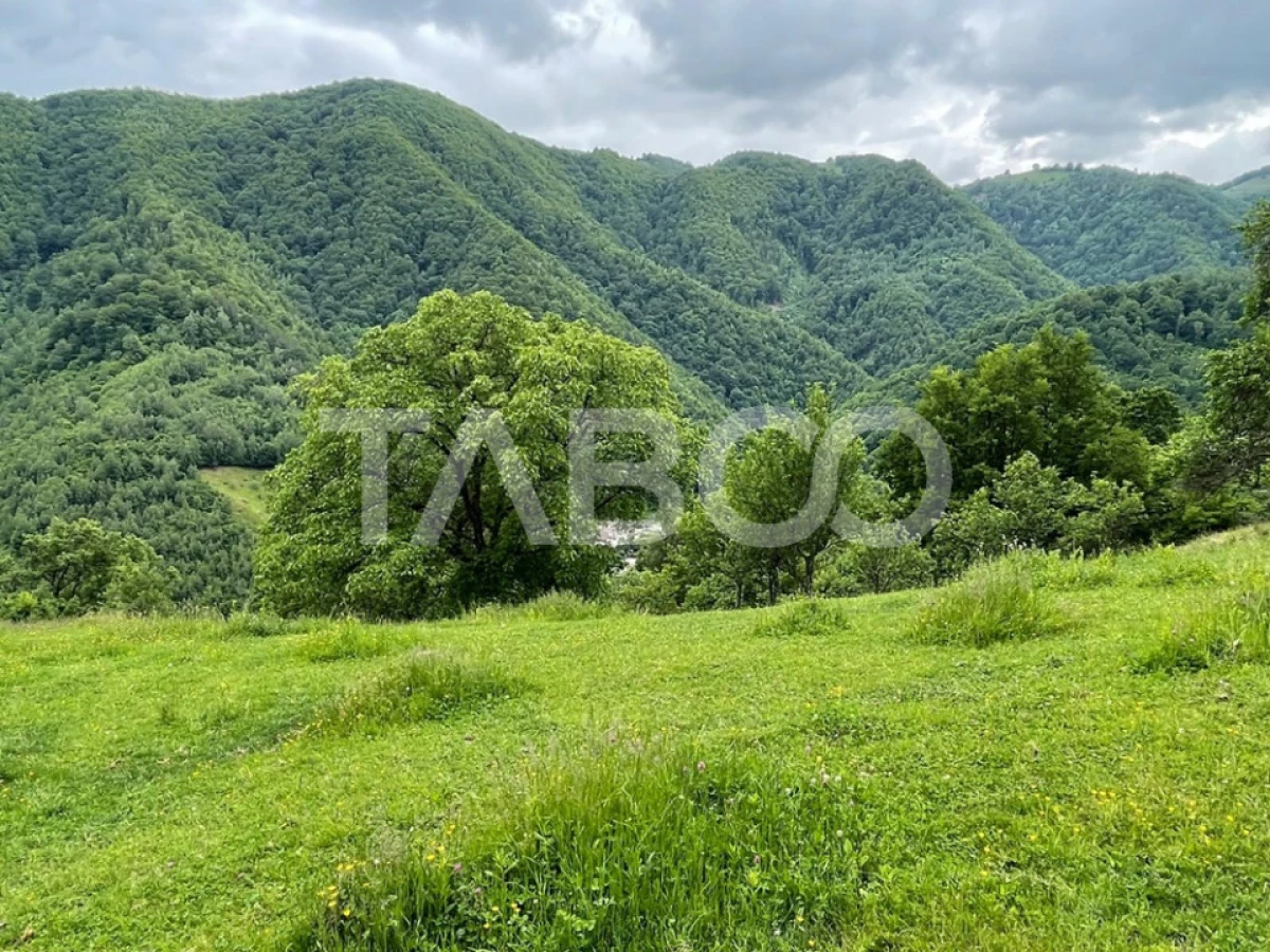 Teren intravilan de vanzare in Martinia de sus - 5