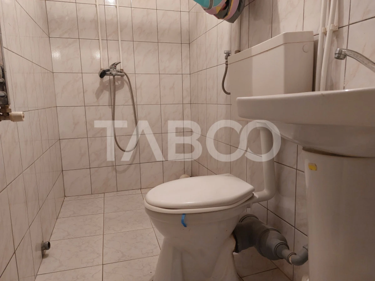 Casa individuala 3 camere 116 mpu 820 teren liber curte si gradina - 10