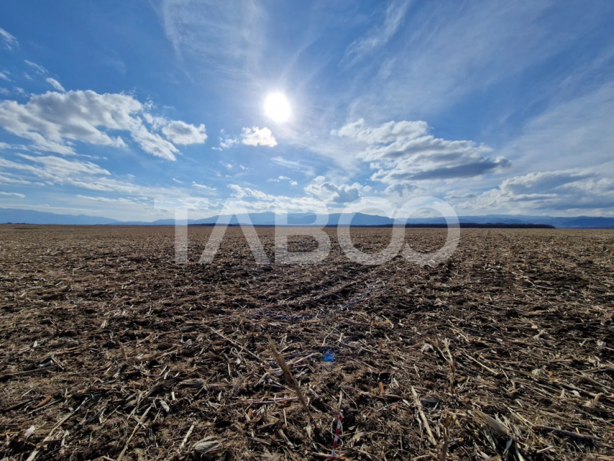 Terenarabil arabil de vanzare 5950mp extravilan zona Sopa Selimbar - 4