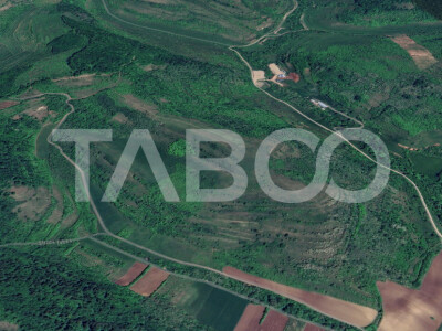 Teren extravilan de vanzare 10000 mp zona Gusterita