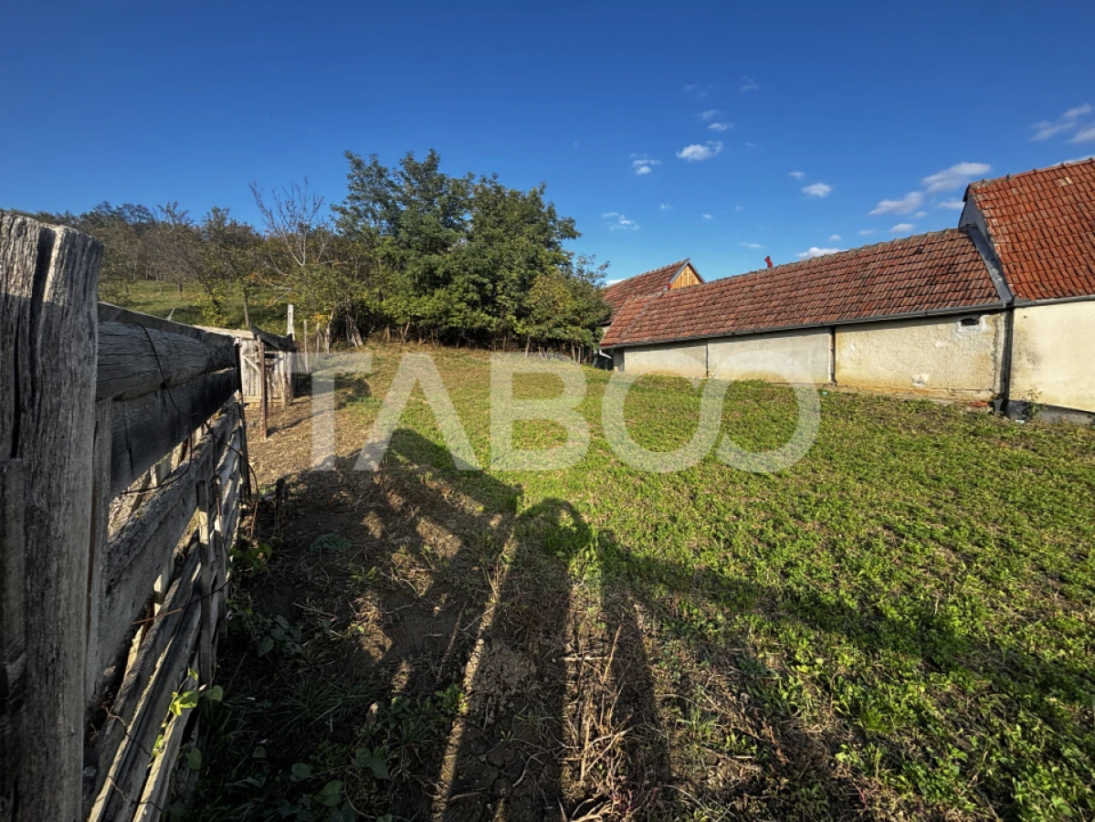 Exclusivitate comision 0% casa cu sura si anexe teren 3700 mp Alamor - 6