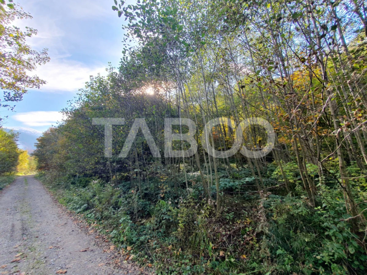 Teren in suprafata de 2990 mp cu vedere la munte zona turistica Lisa - 2