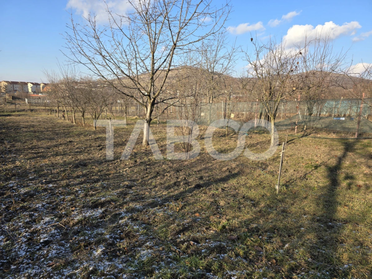 Casa individuala de vanzare 4 camere 120mp si curte 1310 mp Gusterita - 4