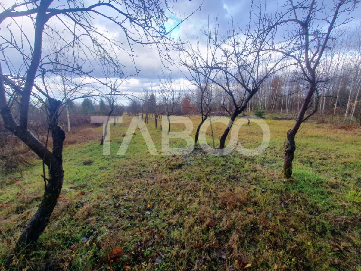 Teren extravilan 1000 mp Statiunea Climaterica Sambata de Sus - 2