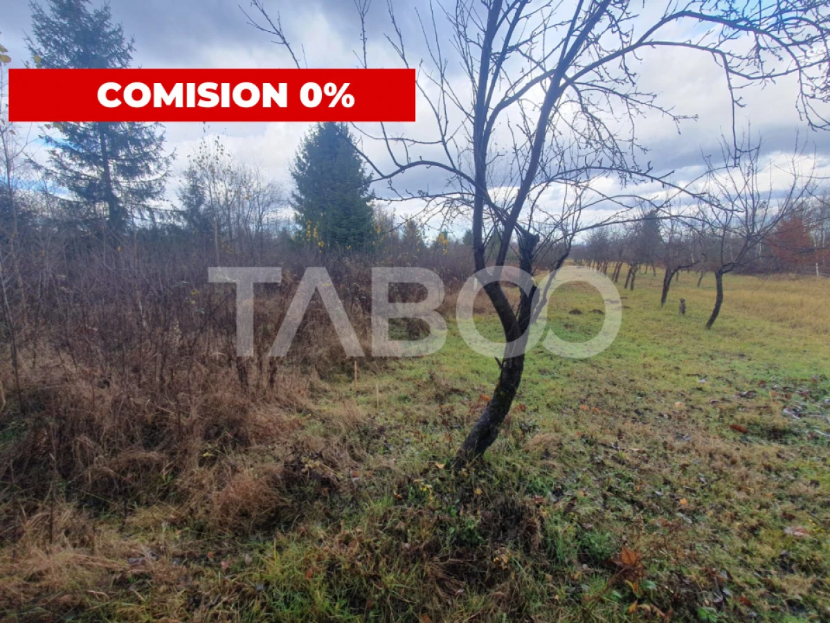 Teren extravilan 1000 mp Statiunea Climaterica Sambata de Sus - 1