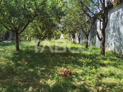 Teren intravilan de vanzare 1100 mp cu deschidere 14 ml in Poplaca