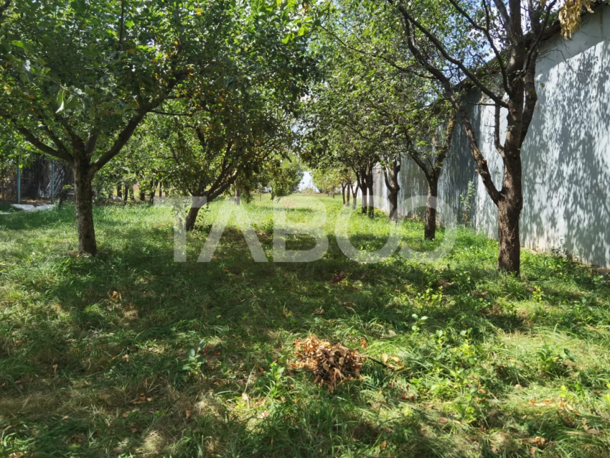 Teren intravilan de vanzare 1100 mp cu deschidere 14 ml in Poplaca - 1