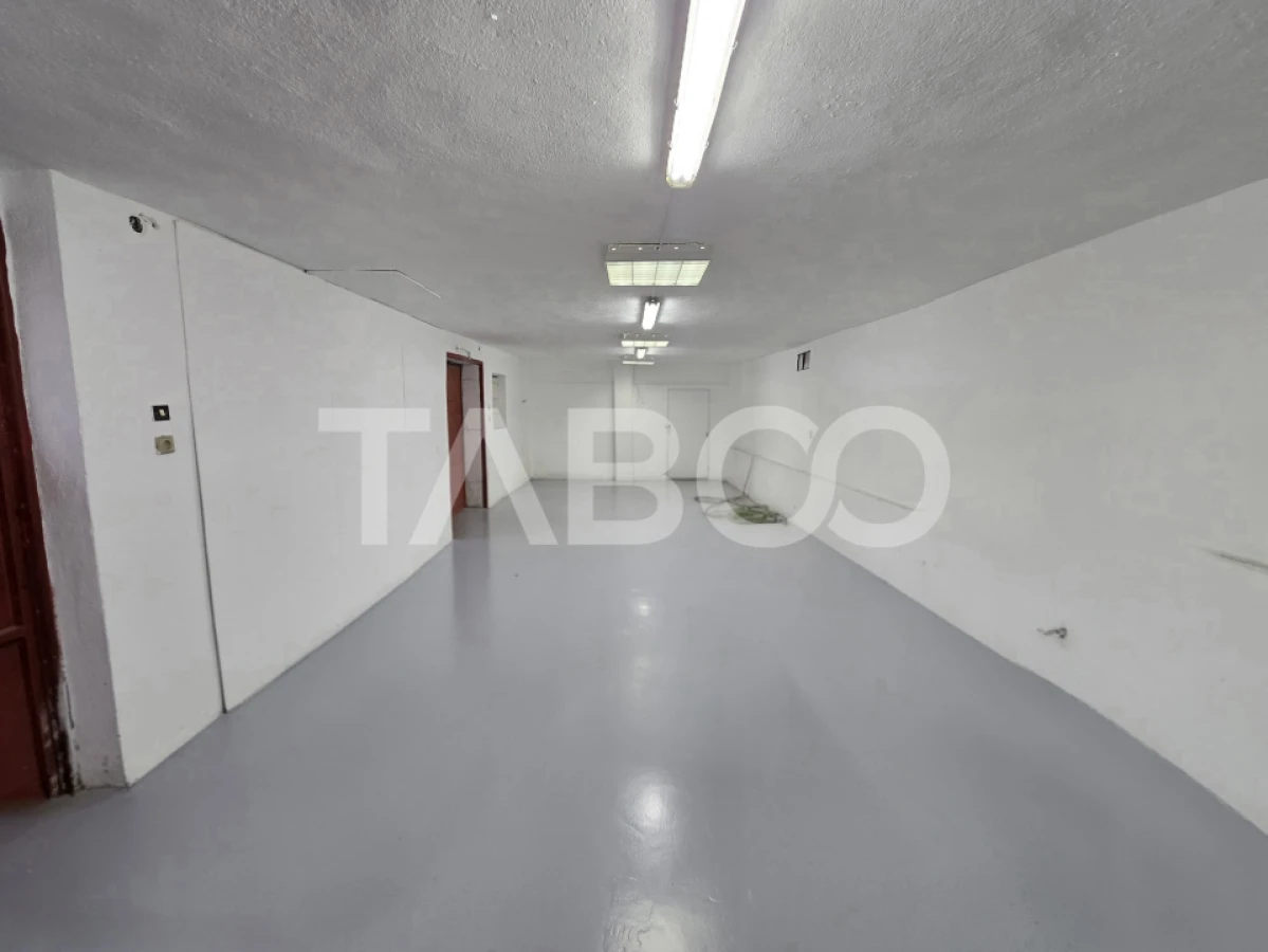 Spatiu industrial cu acces auto de inchiriat 88mp in zona Turnisor - 5