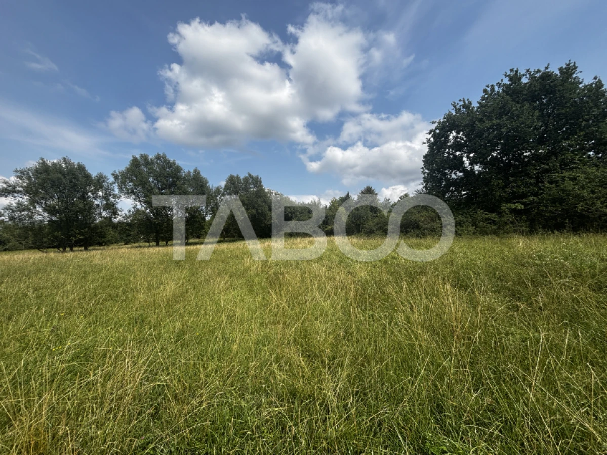 OPORTUNITATE investitie Teren de vanzare Cisnadie 3100 mp intravilan - 1