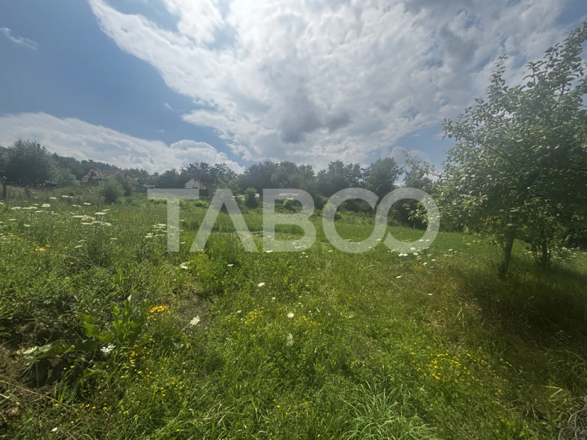 Teren intravilan 20 ml deschidere 860 mp Slimnic - 1