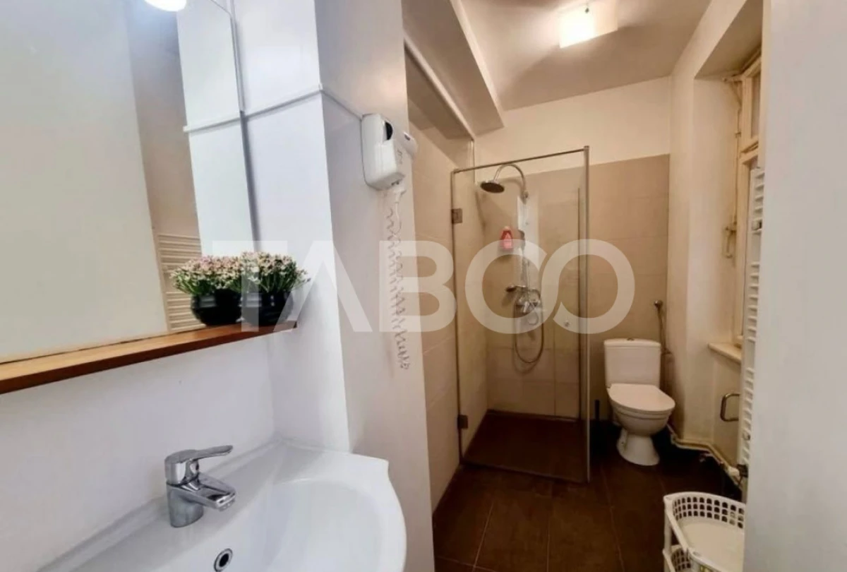 Apartament de vanzare 2 camere 2 bai 2 pivnite Sibiu Centrul Istoric - 8