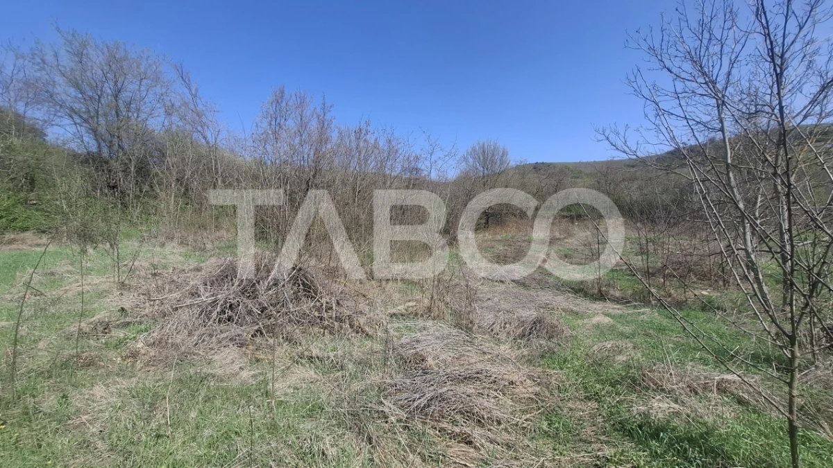 Teren intravilan de vanzare 1450 mp Slimnic Sibiu - 1