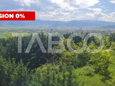 Apartamente cu curte - perfect: camin in inima naturii sau investitie