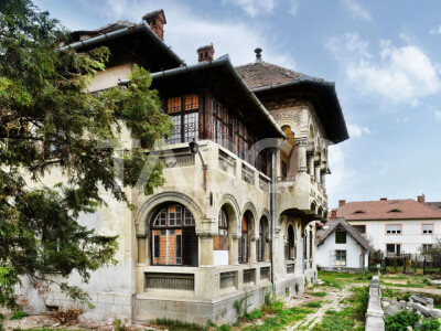 Vila interbelica isi asteapta cu speranta tacuta noul proprietar