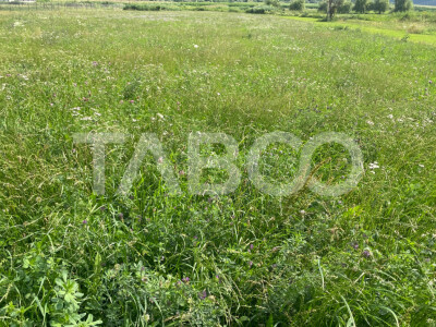 Teren intravilan 3450 mp Boita, 35 m deschidere, la 700 m de A1