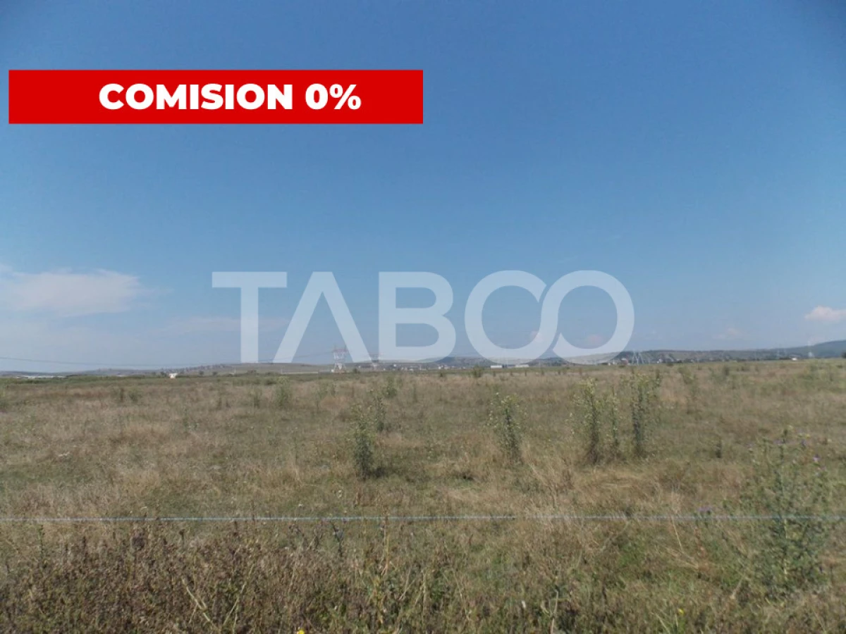 Teren intravilan 31300 mp autorizatie de constructie utilitati si PUZ - 1