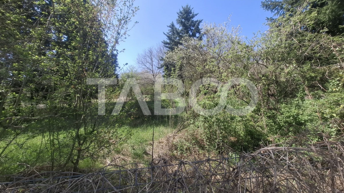 Teren intravilan de vanzare 2700 mp Slimnic Sibiu - 1