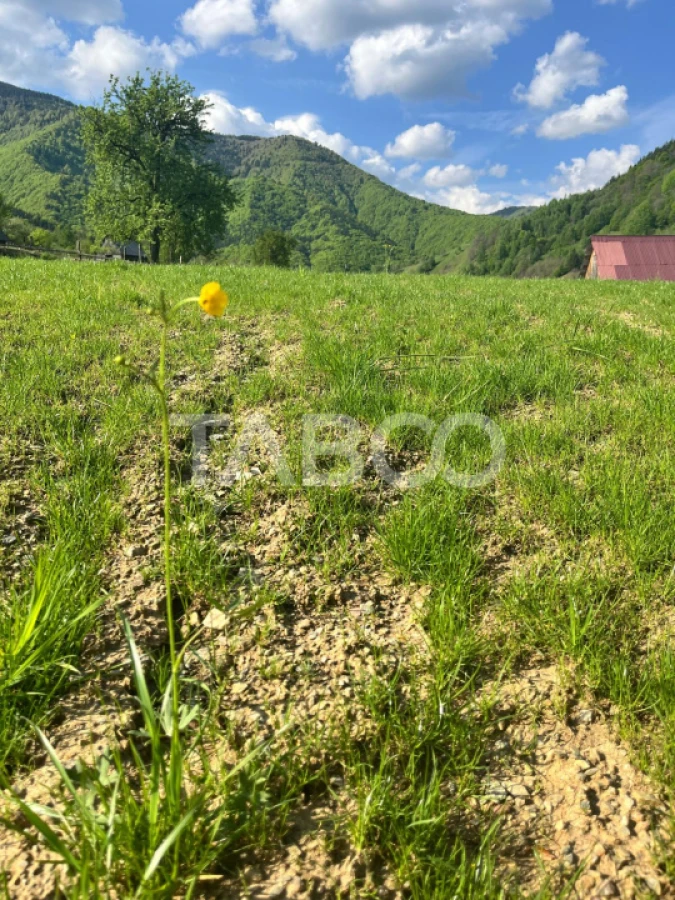 Teren 1059 mp in Raul Sadului– Natura liniste si investitie - 5