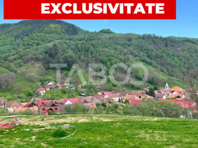 Teren 1059 mp in Raul Sadului– Natura liniste si investitie