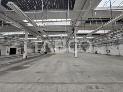 Spatiu industrial de inchiriat 1923mp in Cisnadie