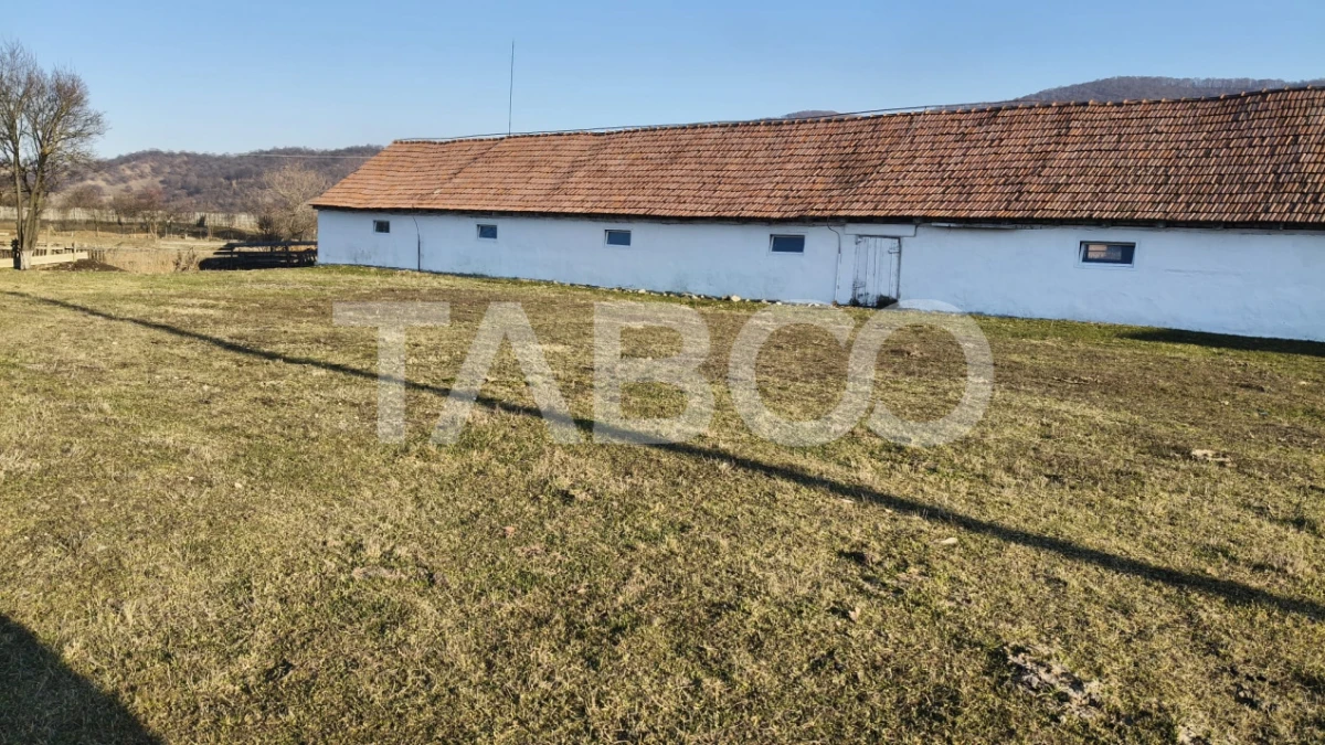 Microferma cu locuinta de vanzare in Pianu de sus - 10