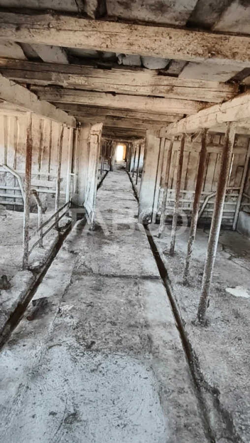 Microferma cu locuinta de vanzare in Pianu de sus - 7