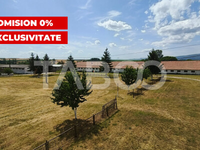 Platforma industriala cu cladiri de vanzare in Salistea de Alba