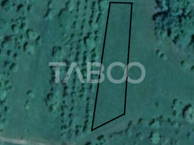 Teren pretabil cabana sau gradina 1670 mp zona deosebita Sibiel