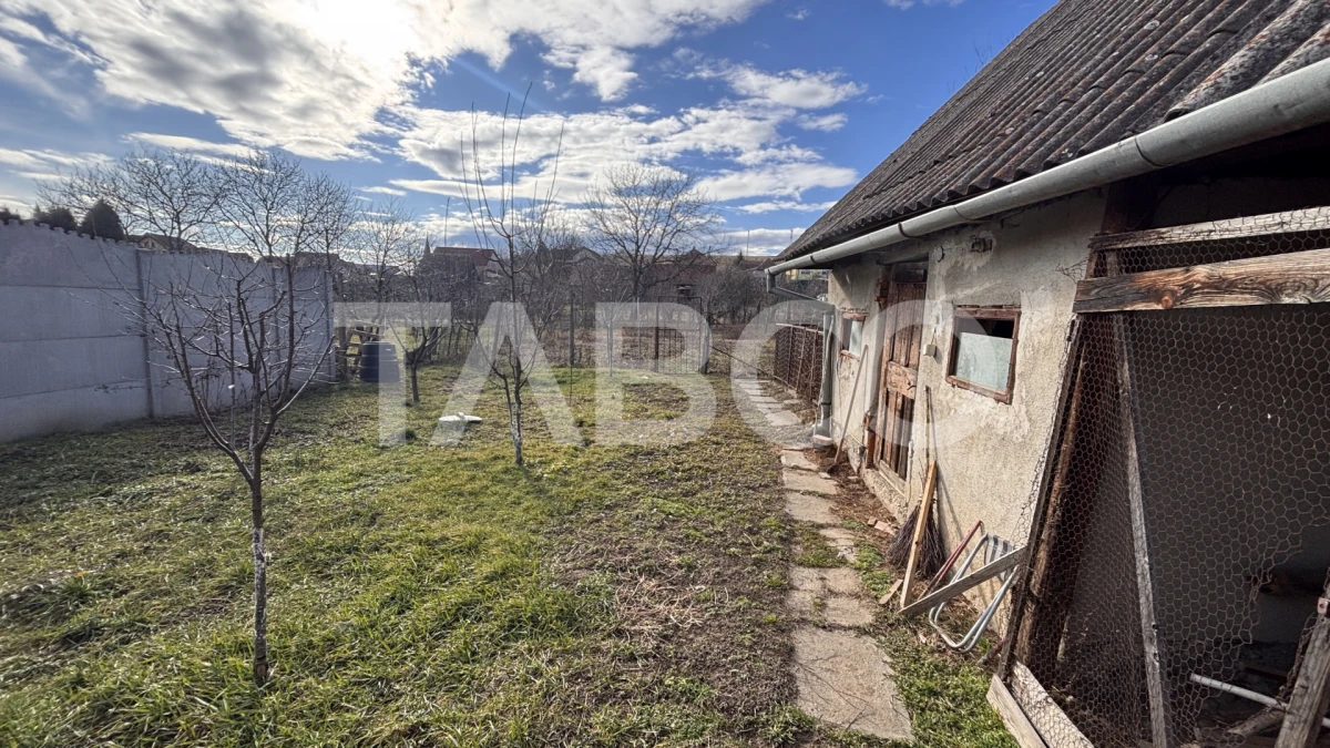 Casa individuala de vanzare 756 mp teren Sura Mare zona deosebita - 10