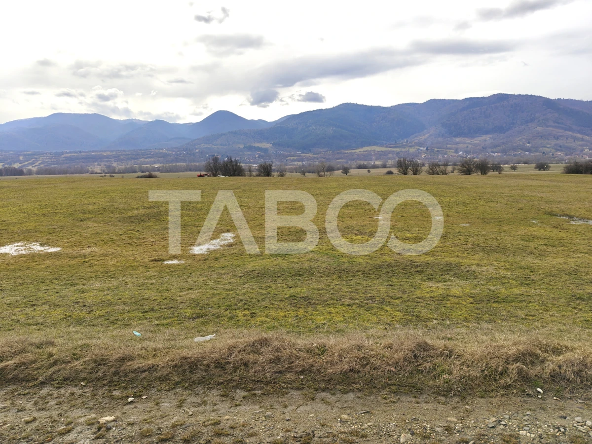 Teren intravilan 10000 mp cu acces din DN 1 - COMISION 0 - 4