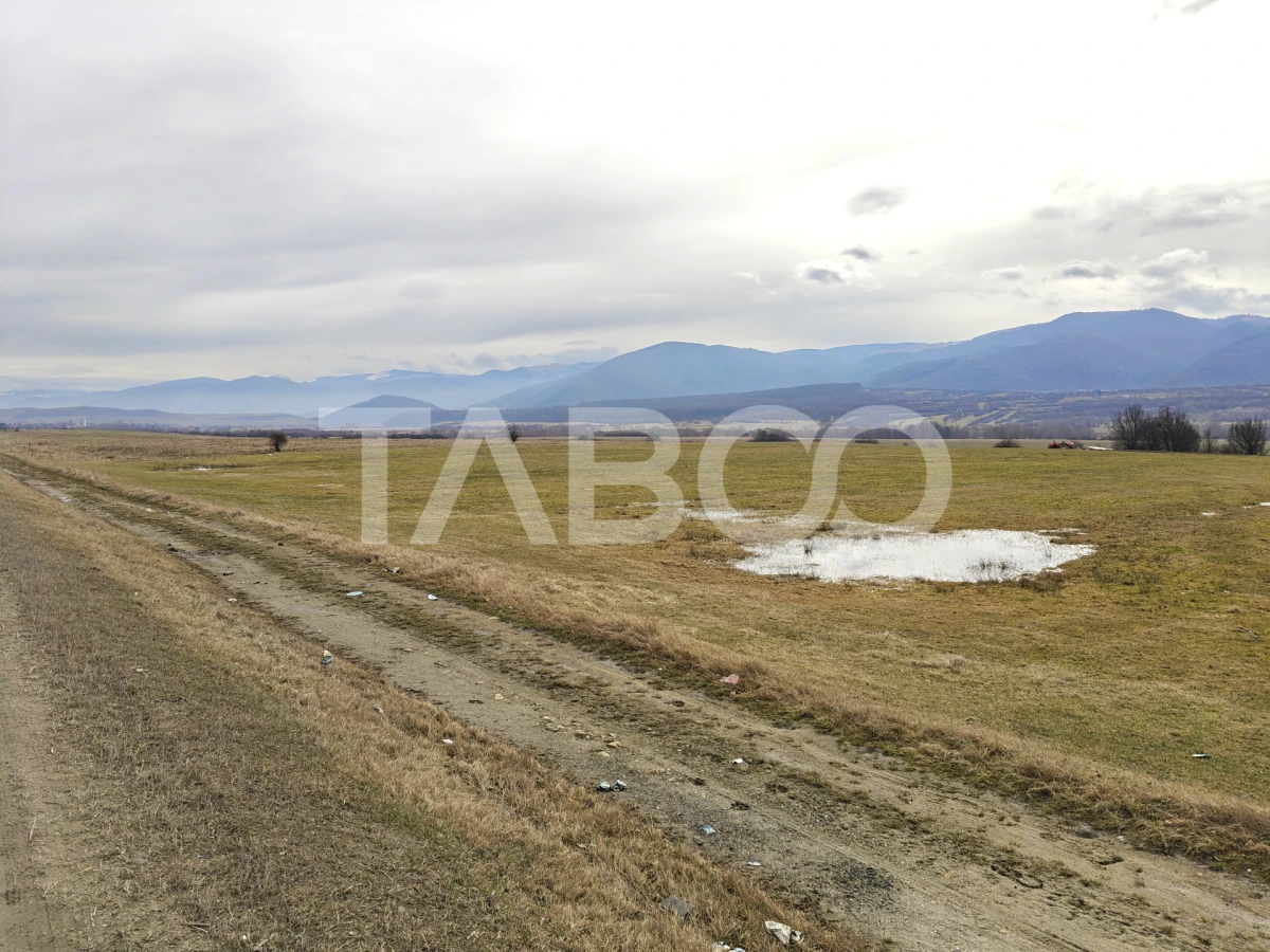 Teren intravilan 10000 mp cu acces din DN 1 - COMISION 0 - 3