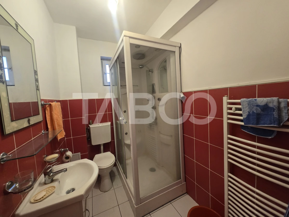 Garsoniera de vanzare decomandata 24mpu zona Turnisor Sibiu - 7