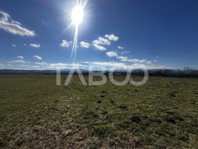 Teren de vanzare 2200 mp cu deschidere de 28 ml