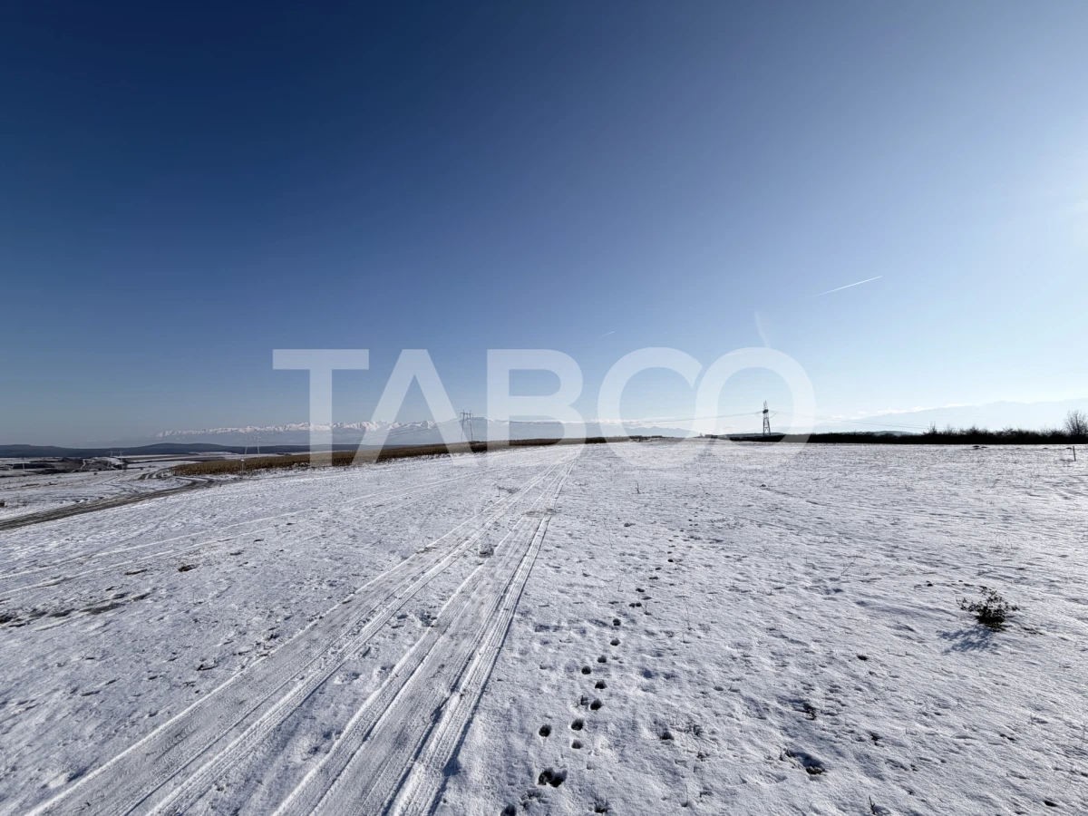 Teren cu PUZ aprobat pentru 64 de case S+P+1E+M/R - 3