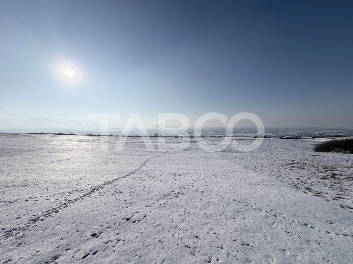 Teren cu PUZ aprobat pentru 64 de case S+P+1E+M/R - 2