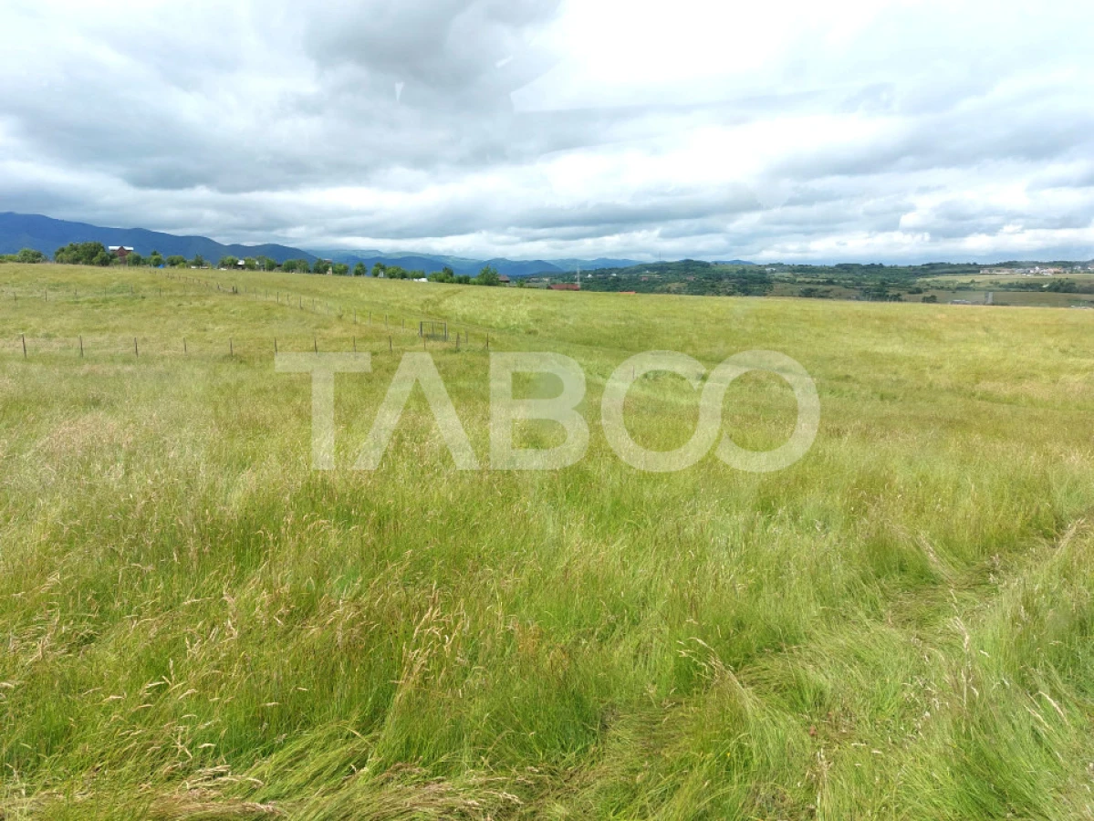 Teren intravilan 800 mp pretabil investitie zona Soma Cisnadie - 2