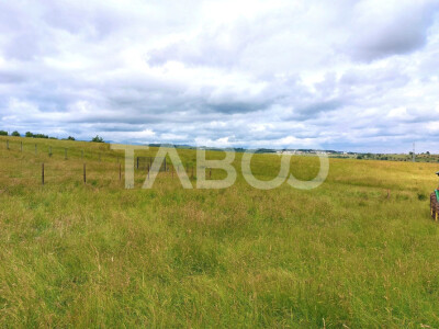 Teren intravilan 800 mp pretabil investitie zona Soma Cisnadie