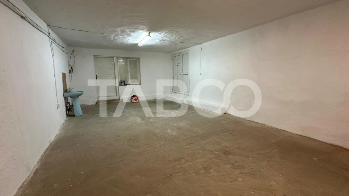 Spatiu comercial de inchiriat doua incaperi 110 mpu zona Turnisor - 5