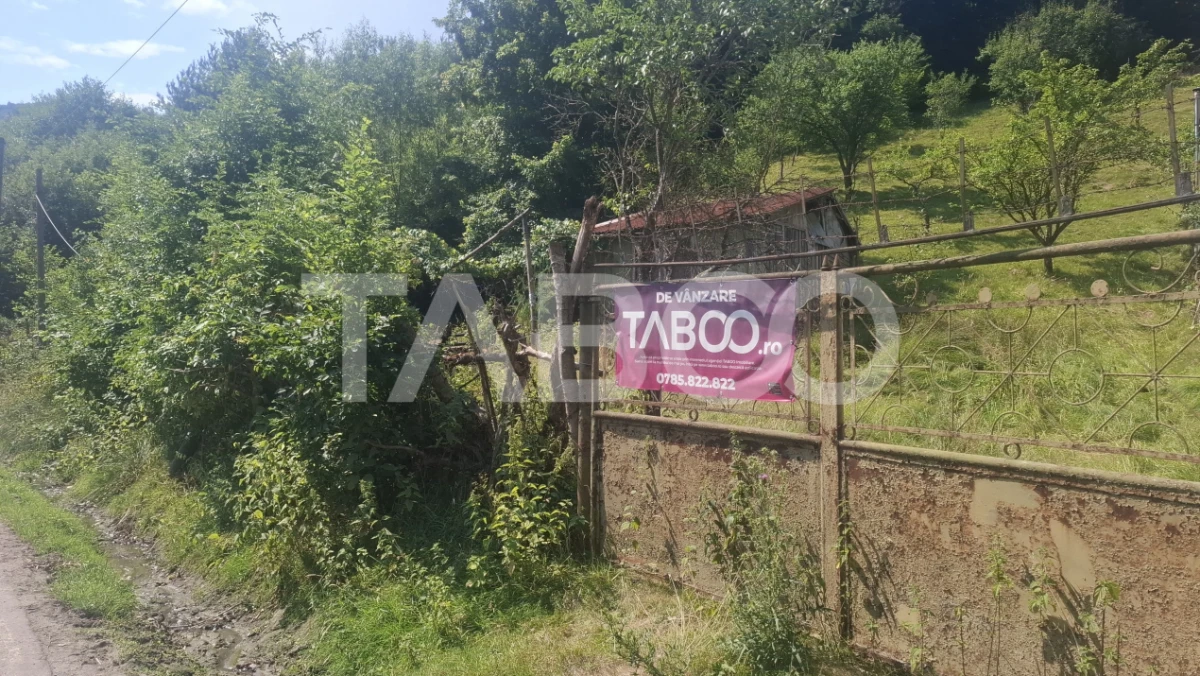 Teren 2500 mp Curmatura Rasinari 40 m deschidere la drum asfaltat - 8