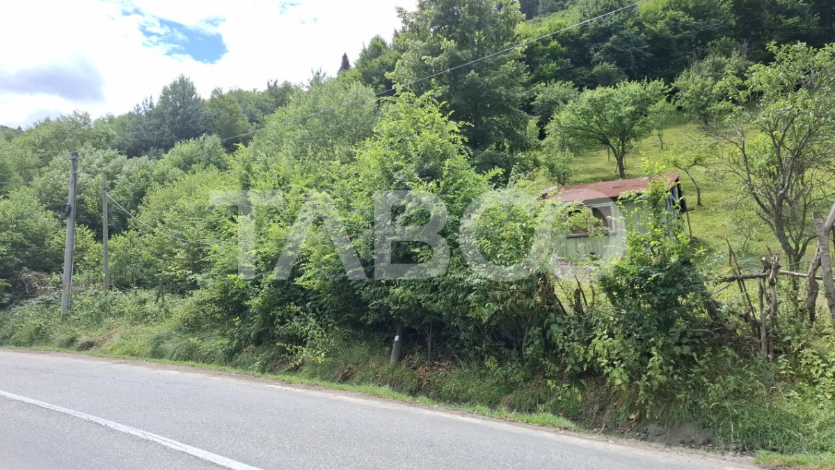 Teren 2500 mp Curmatura Rasinari 40 m deschidere la drum asfaltat - 3