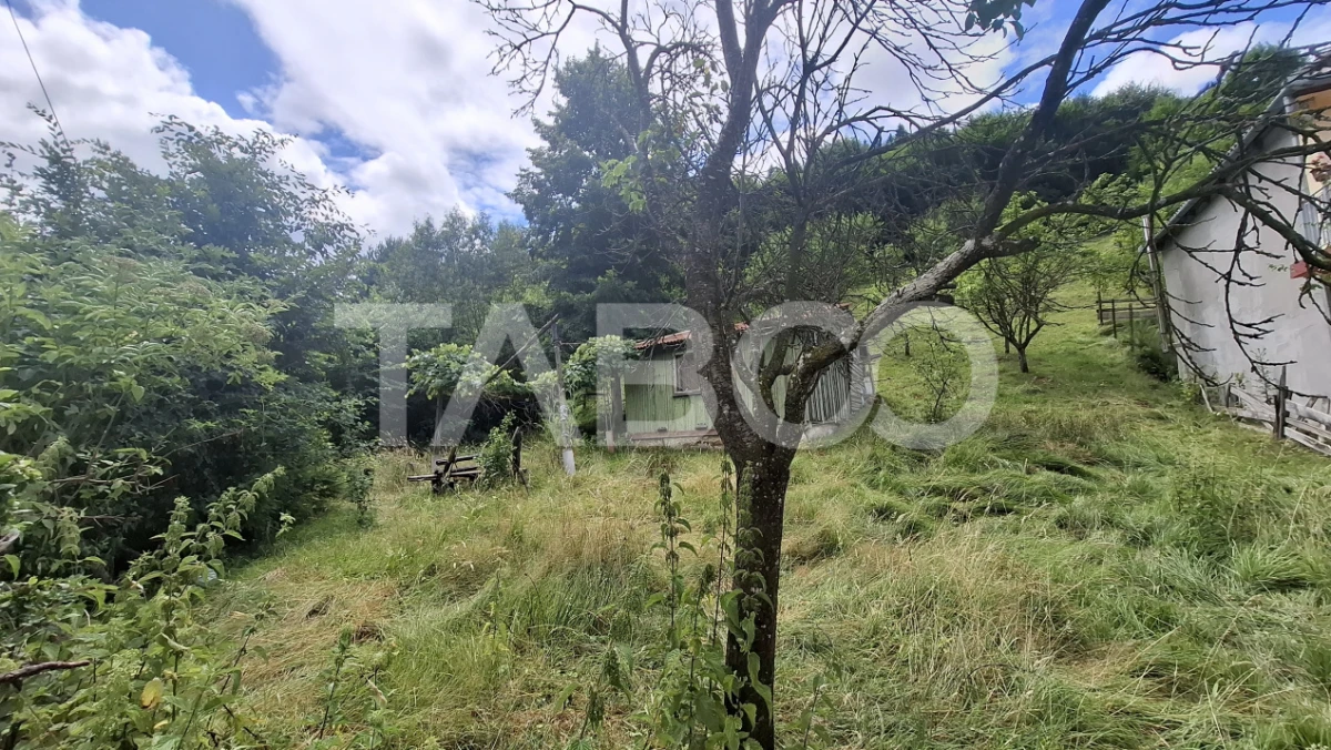 Teren 2500 mp Curmatura Rasinari 40 m deschidere la drum asfaltat - 2